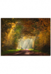 Artland Paveikslas ant drobės &raquo;Licht ant Ende des Tunnels...&laquo; Wald 1 Stk. dalys ant Holzrahmen gespannt