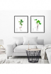 queence Paveikslas &raquo;Mentha&laquo; Pflanzen | Pflanzenbilder | Dekoracija 1 Stk. dalys HD Premium Poster-Druck ir Holzrahmen