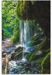 Artland Paveikslas &raquo;Moosbedeckter Wasserfall&laquo; Wasserfallbilder 1 Stk. dalys dėl Innen- ir lauko zona tinka Outdoorbild