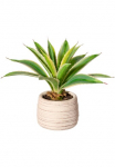 Creativ green Dirbtinis Zimmerpflanze &raquo;Agave im Zementtopf&laquo;