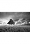 Papermoon Fototapetas &raquo;Landschaft juoda spalva & wei&szlig;&laquo;