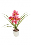 I.GE.A. Dirbtinė gėlė &raquo;Orchidee&laquo; su Bl&auml;tter im puodas i&scaron; Keramik Dirbtinis Blume Cymbidium-Orchidee