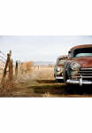 Papermoon Fototapetas &raquo;Vintage Rusting Cars&laquo; glatt
