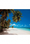 Komar Tapetai &raquo;Digitaldruck Vlies - Maldives - Gr&ouml;&szlig;e 300 x 250 cm&laquo; ra&scaron;tuotas glatt Wohnzimmer miegamojo kambario baldai