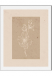 queence Paveikslas &raquo;Havanna&laquo; Art | gėlės | Kunst | Pflanzen 1 Stk. dalys gerahmt