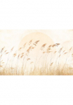 Komar Tapetai &raquo;Digitaldruck Vlies - Dune Grass - Gr&ouml;&szlig;e 400 x 250 cm&laquo; ra&scaron;tuotas glatt Wohnzimmer miegamojo kambario baldai