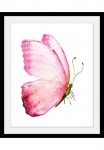 queence Paveikslas &raquo;Apache&laquo; Insekten | Kunst | Schmetterlinge | Schwarz-Wei&szlig; 1 Stk. dalys HD Premium Poster-Druck ir Holzrahmen