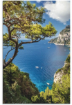 Artland Paveikslas &raquo;Punta de Masullo Insel Kapri kelnės Italien&laquo; Meer paveikslas/nuotrauka 1 Stk. dalys kaip Alubild Plakatas in verschied. dydžiai