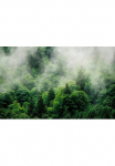 Komar Tapetai &raquo;Digitaldruck Vlies - Forest Land - Gr&ouml;&szlig;e 400 x 250 cm&laquo; ra&scaron;tuotas glatt Wohnzimmer miegamojo kambario baldai