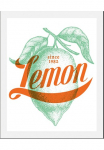 queence Paveikslas &raquo;Lemon&laquo; Abstrakt | Figūrėlė | Obst | Obst paveikslas/nuotrauka | Dekoracija 1 Stk. dalys gerahmt