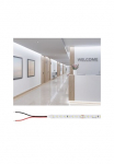 Paulmann LED-Streifen &raquo;Pro Strip Gold P75 5m 965 IP20 24V DC 30W&laquo;