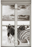 queence Sienų lipdukai &raquo;Zebras&laquo; Sienų lipdukai paveikslas selbstklebend 3D langas