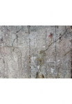living walls Fototapetas &raquo;Beton Vintage&laquo; glatt Steinwand fototapetas Betonoptik 350 m x 255 m Tapetai