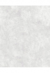 Superfresco Easy Tapetai &raquo;Beton&laquo; Steinoptik glatt Hellgrau - 10mx53cm