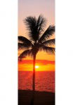 Komar Tapetai &raquo;Digitaldruck Vlies - Hawaii - Gr&ouml;&szlig;e 100 x 280 cm&laquo; ra&scaron;tuotas glatt Wohnzimmer miegamojo kambario baldai