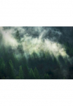 Komar Tapetai &raquo;Digitaldruck Vlies - Misty Crowns - Gr&ouml;&szlig;e 350 x 250 cm&laquo; ra&scaron;tuotas glatt Wohnzimmer miegamojo kambario baldai