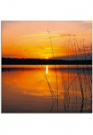Artland Stiklinis paveikslas &raquo;Landschaft su Sonnenaufgang&laquo; Sonnenaufgang & -untergang 1 Stk. dalys in padėties dydžiai