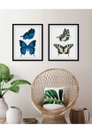 queence Paveikslas &raquo;Amanda&laquo; Insekten | Kunst | Schmetterlinge 1 Stk. dalys HD Premium Poster-Druck ir Holzrahmen