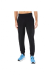 Asics Bėgimo kelnės &raquo; LOGO SWEATPANT&laquo;