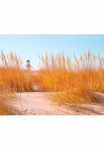 living walls Fototapetas &raquo;Strand D&uuml;nen&laquo; Motiv | abstrakt | naturalistisch glatt D&uuml;nen Tapetai Strand fototapetas Wohnzimmer Tapeten Design vaikų kambario baldų komplektas