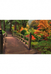 Papermoon Fototapetas &raquo;Autumn Bridge&laquo; glatt