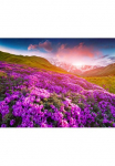 Papermoon Fototapetas &raquo;Berge Blumen&laquo;