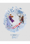 Komar Paveikslas &raquo;Frozen Spirit&laquo; Disney 1 Stk. dalys paveikslas zur dekoracija im vaikų kambario baldų komplektas - be grotelės