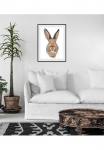 queence Paveikslas &raquo;Algot&laquo; Foto | naminiai gyvūnai | Kunst 1 Stk. dalys HD Premium Poster-Druck ir Holzrahmen