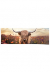 Reinders! Plakatas &raquo;Spring Highlander&laquo; Wohnzimmer - Schottischer Hochl&auml;nder - Flora - 170 gr. Papier