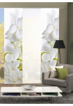 HOME WOHNIDEEN Panelinės užuolaidos &raquo;PADUA&laquo; Klettband 3 Stk. dalys HxB: 245x60 ir Tvirtinimo preidai