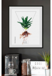 queence Paveikslas &raquo;Aloe vera&laquo; Pflanzen | Pflanzenbilder | Dekoracija 1 Stk. dalys HD Premium Poster-Druck ir Holzrahmen