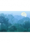 Komar Tapetai &raquo;Digitaldruck Vlies - Deep in the Jungle - Gr&ouml;&szlig;e 400 x 280 cm&laquo; ra&scaron;tuotas glatt Wohnzimmer miegamojo kambario baldai