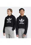 adidas Originals Sportinis megztinis su gobtuvu &raquo;ADICOLOR CROP KIDS Bliuzonas