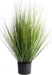 Botanic-Haus Dirbtinė žolė &raquo;Grasarrangement King Festuca&laquo;