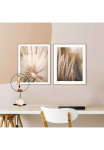 Reinders! Paveikslas &raquo;Natur Botanisch - Pampas - L&ouml;wenzahn - Nahaufnahme&laquo; 2 Stk. dalys
