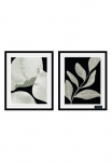 Bruno Banani Paveikslas su grotelės &raquo;Eukalyptus - Įrėmintas Digitaldruck - Wandbild&laquo; Bl&auml;tterbilder | Kunst | Pflanzen | Pflanzenbilder rinkinys 2-iejų vienetų rinkinys 2x 30x40 cm - Holzrahmen - dekoracija - Wei&szlig;er grotelės