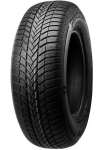 Bridgestone Žieminės padangos &raquo;LM-005&laquo; in padėties versijos erh&auml;ltlich