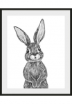 queence Paveikslas &raquo;Helmi&laquo; naminiai gyvūnai | Kunst | Schwarz-Wei&szlig; 1 Stk. dalys HD Premium Poster-Druck ir Holzrahmen