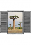 queence Sienos lipdukai &raquo;Afrikanische Ba&uuml;me&laquo; Sienų lipdukai paveikslas selbstklebend 3D langas