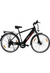 Maxtron &raquo;MT 11&laquo; 8 Gang Shimano Altus Schaltwerk Kettenschaltung Heckmotor 250 W dviratis Elektrofahrrad dėl Herren
