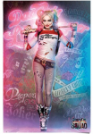 Reinders! Plakatas &raquo;Suicide Squad Harley Quinn&laquo; 1 Stk. dalys