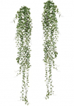 Creativ green Kunstranke &raquo;M&uuml;hlenbeckia-H&auml;nger&laquo; 2vnt. rinkinys