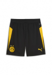 PUMA Sportinės kelnės &raquo;Borussia Dortmund Sportiniai &scaron;ortai Herren&laquo;