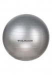 ENDURANCE Gimnastikos kamuolys &raquo;Gym Ball 55 CM&laquo; su 55 cm skersmuo