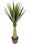 I.GE.A. Dirbtinis Zimmerpflanze &raquo;Yucca&laquo;