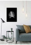 Komar Paveikslas &raquo;Feather Black&laquo; Federn 1 Stk. dalys paveikslas zur dekoracija - be grotelės