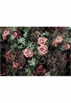 Komar Fototapetas &raquo;Velvet - Gr&ouml;&szlig;e 368 x 254 cm&laquo; ra&scaron;tuotas glatt Wohnzimmer miegamojo kambario baldai