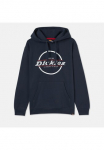 Dickies Sportinis megztinis su gobtuvu &raquo; Workwear Sportinio stiliaus megztinis TOWSON GRAPH Bliuzonas