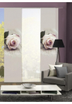 HOME WOHNIDEEN Panelinės užuolaidos &raquo;ROSIES&laquo; Klettband 3 Stk. dalys HxB: 245x60 ir Tvirtinimo preidai