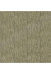 Superfresco Easy Tapetai &raquo; tapetai Grass Gold&laquo; ra&scaron;tas formuoti tapetai Grass Gold